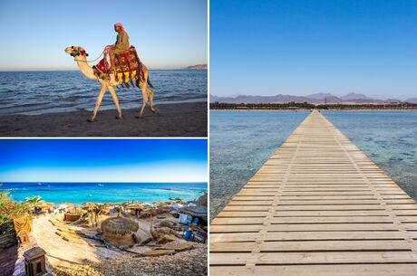 Sharm El Sheikh - Kızıldeniz - HERŞEY DAHİL 