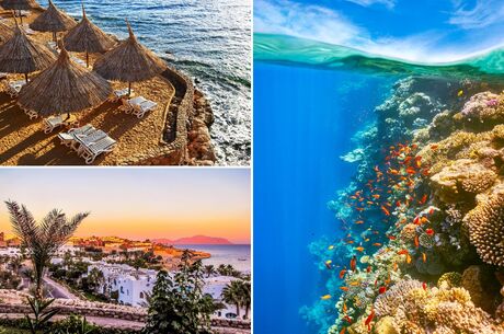 Sharm El Sheikh - Kızıldeniz - HERŞEY DAHİL 