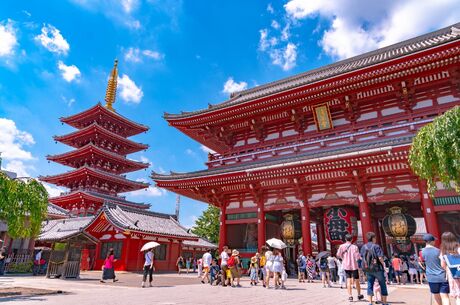 Japonya Turu
