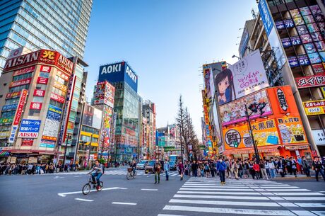 Japonya Turu
