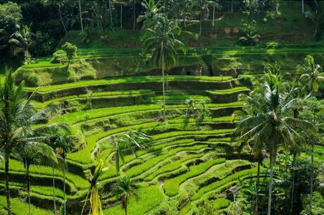 Bangkok & Bali & Ubud Otantik Turu